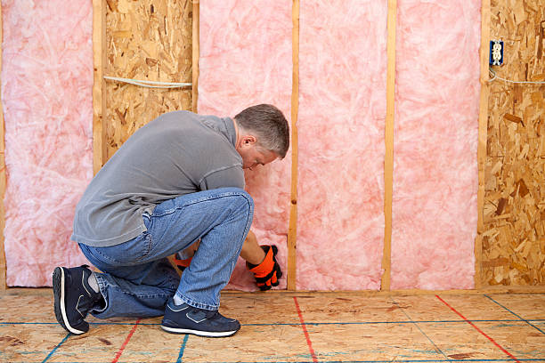Best Geographic-Specific Insulation Services in Aspinwall, PA